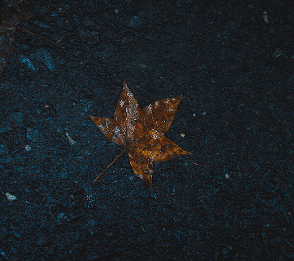 flouer
